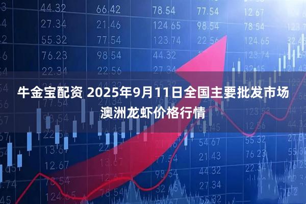 牛金宝配资 2025年9月11日全国主要批发市场澳洲龙虾价格行情