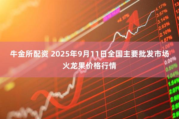 牛金所配资 2025年9月11日全国主要批发市场火龙果价格行情