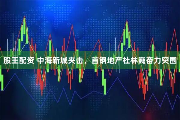 股王配资 中海新城夹击，首钢地产杜林巍奋力突围