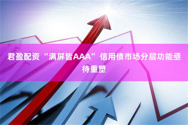 君盈配资 “满屏皆AAA” 信用债市场分层功能亟待重塑