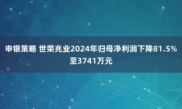 申银策略 世荣兆业2024年归母净利润下降81.5%至3741万元