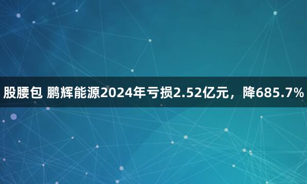 股腰包 鹏辉能源2024年亏损2.52亿元，降685.7%