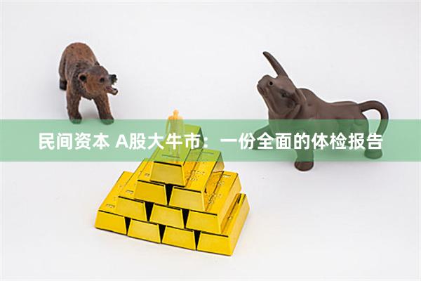 民间资本 A股大牛市：一份全面的体检报告