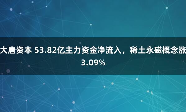 大唐资本 53.82亿主力资金净流入，稀土永磁概念涨3.09%