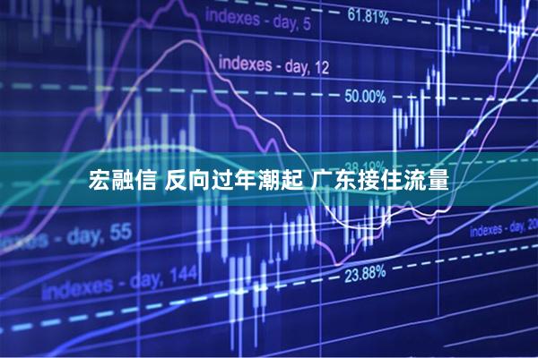 宏融信 反向过年潮起 广东接住流量